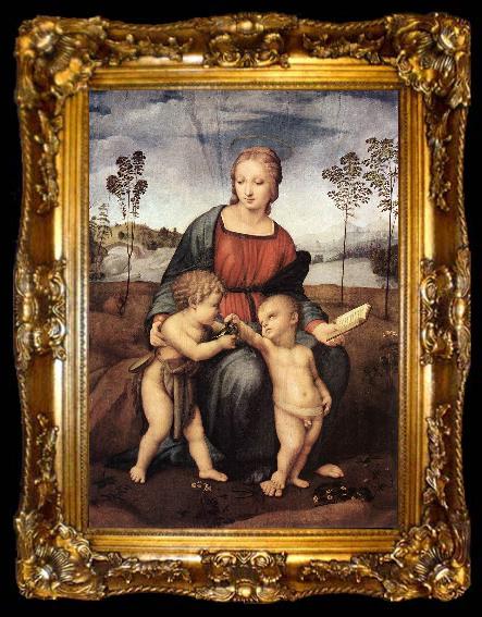 framed  RAFFAELLO Sanzio Madonna del Cardellino ert, ta009-2